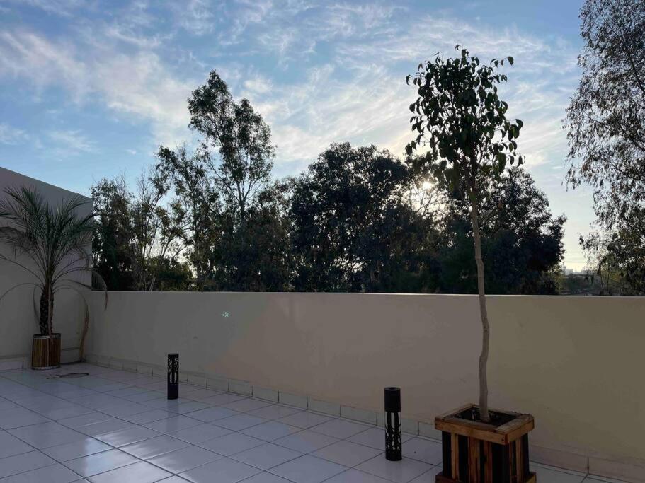 Otay Studio Great Patio Near Otay Crossing & Airport Apartment Tijuana Exterior photo